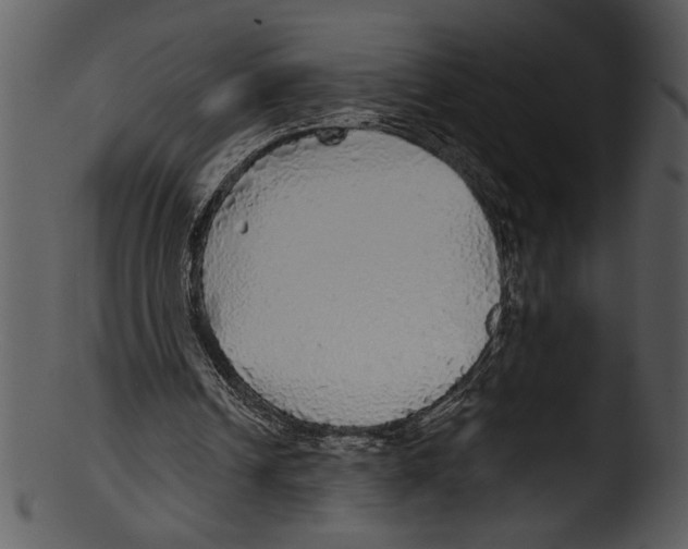 X0000103220242200809251142