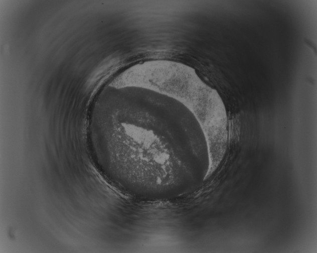 X0000103220243200809251142