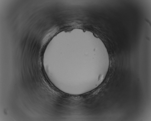 X0000103220245200809251142