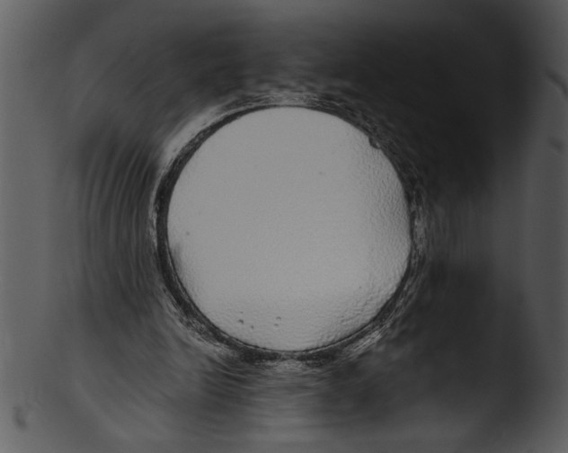 X0000103220246200809251142