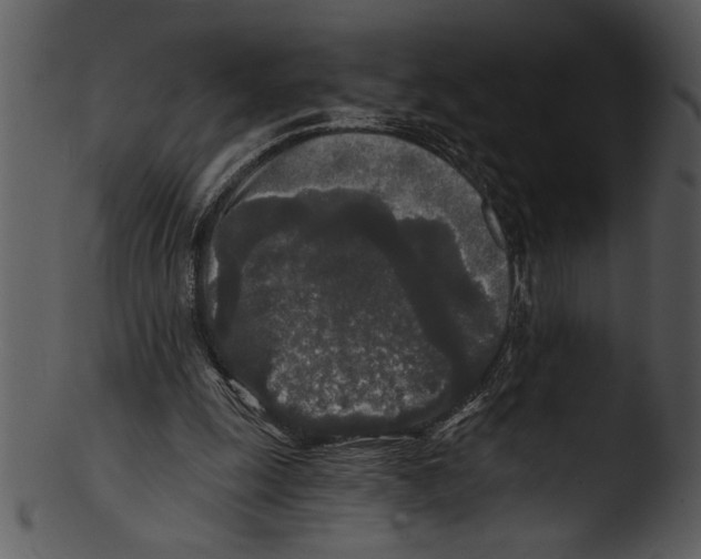 X0000103220247200809251142