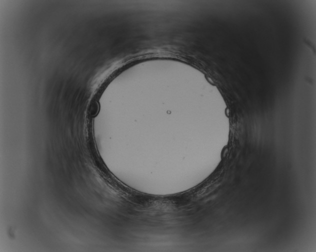 X0000103220248200809251142