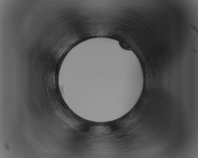 X0000103220251200809251142