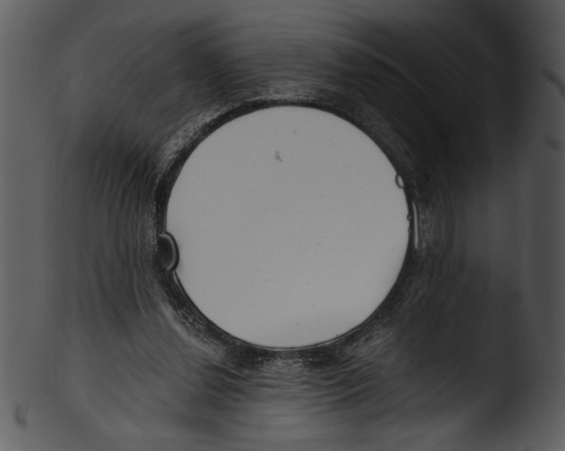 X0000103220252200809251142