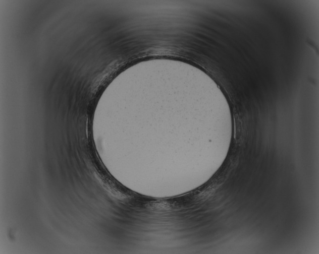 X0000103220253200809251142