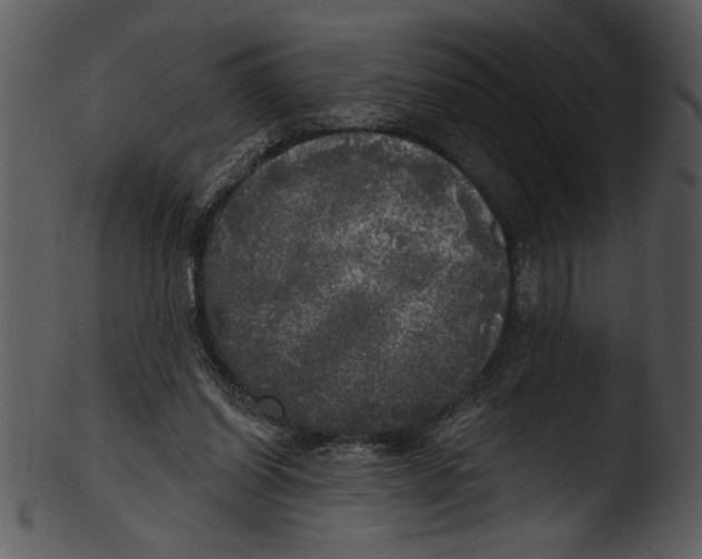 X0000103220254200809251142