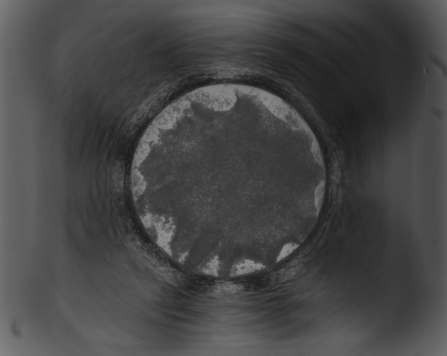 X0000103220257200809251142