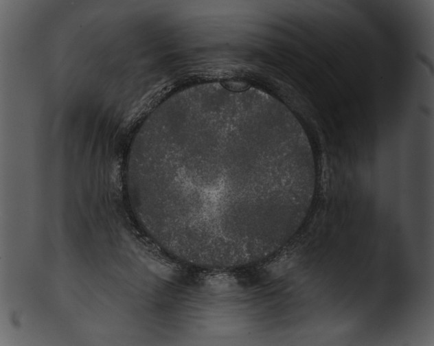 X0000103220258200809251142