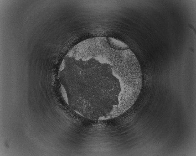 X0000103220259200809251142