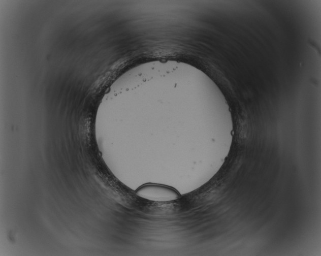 X0000103220260200809251142