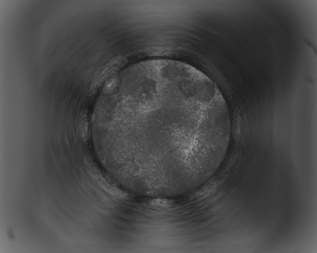 X0000103220261200809251142