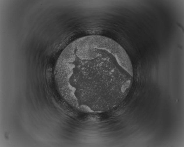 X0000103220263200809251142