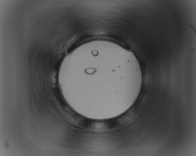 X0000103220264200809251142