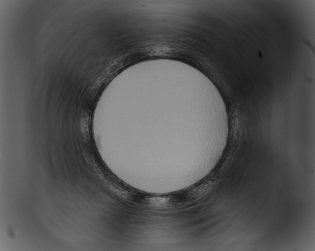 X0000103220265200809251142