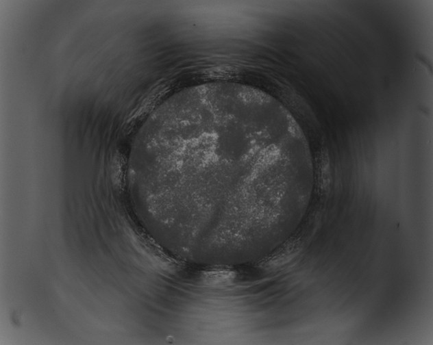 X0000103220266200809251142