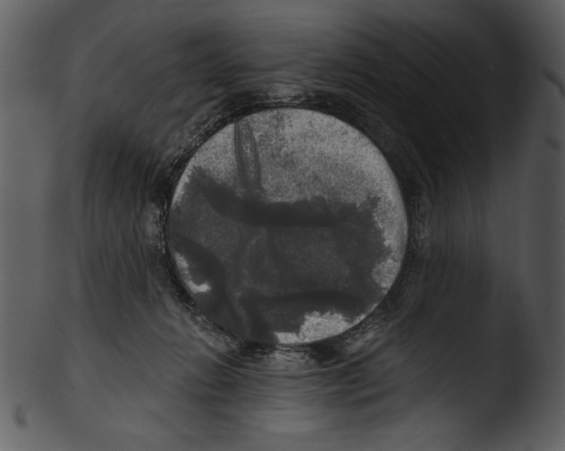 X0000103220270200809251142