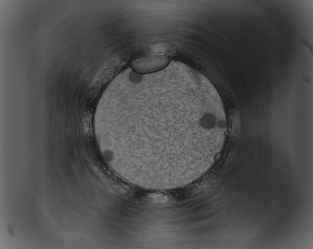 X0000103220272200809251143