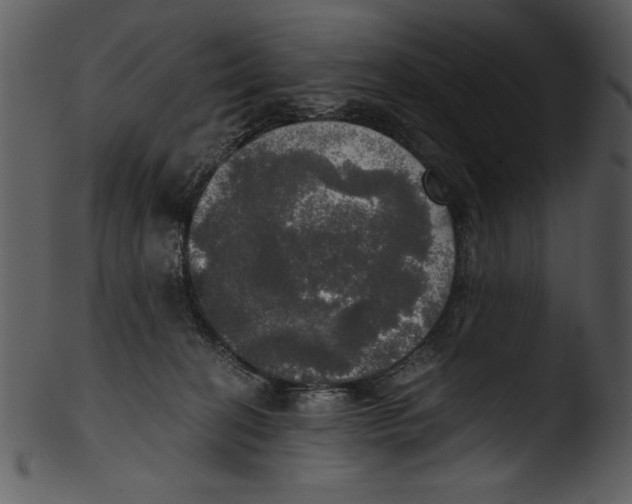 X0000103220274200809251143