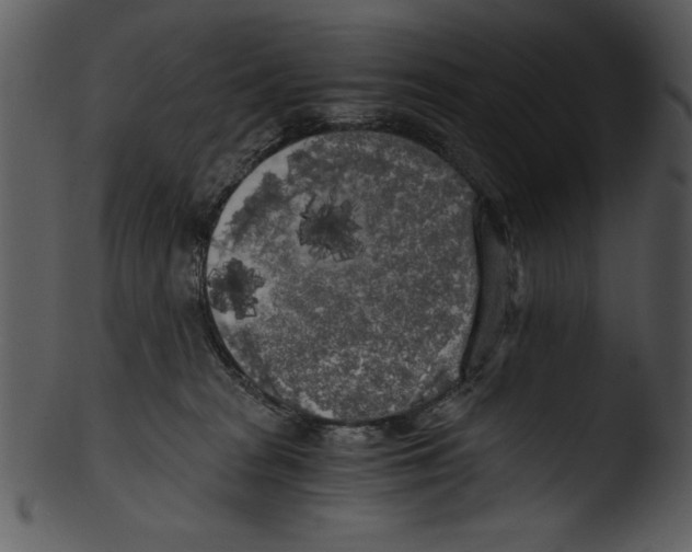 X0000103220277200809251143