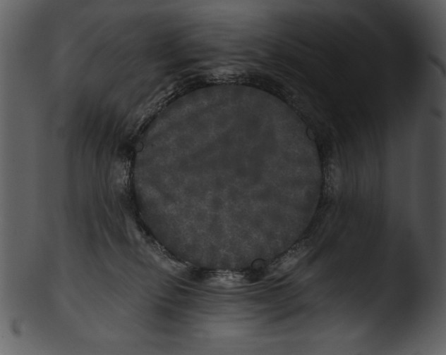 X0000103220278200809251143