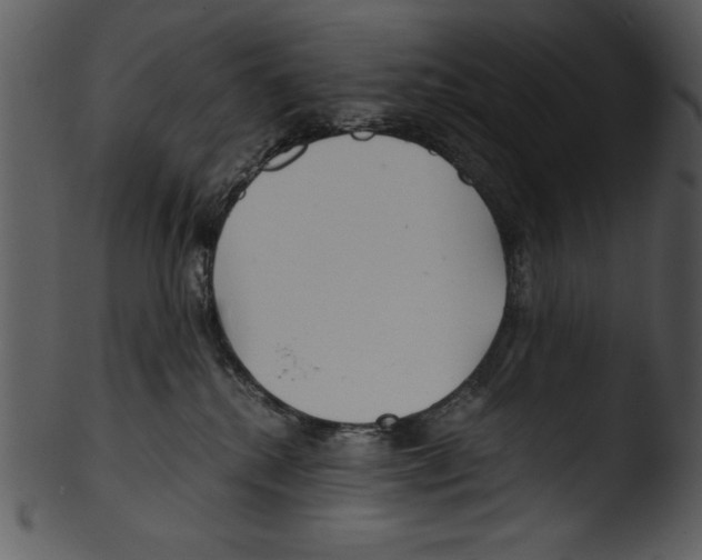 X0000103220280200809251143