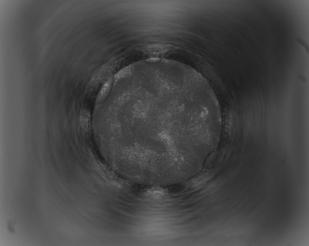 X0000103220283200809251143