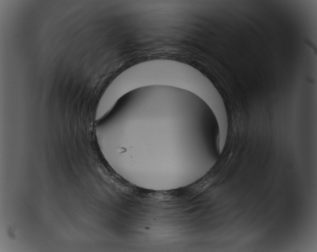 X0000103220284200809251143