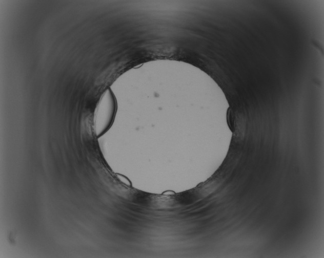 X0000103220287200809251143