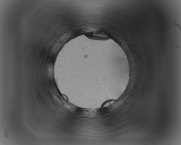 X0000103220288200809251143