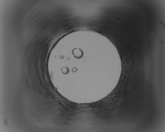 X0000103220289200809251142