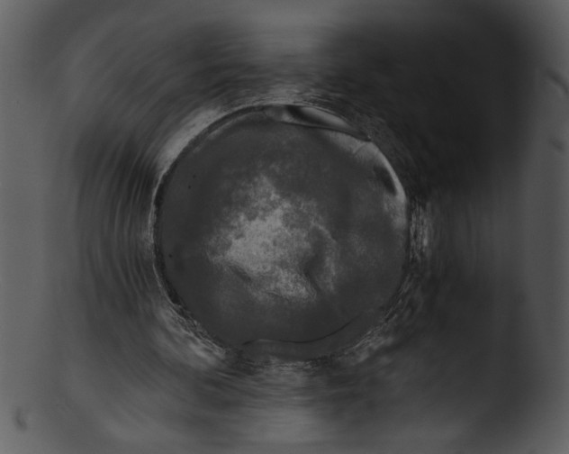 X0000103220292200809251142