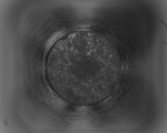 X0000103220293200809251142