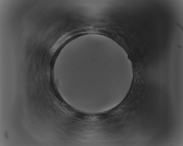 X0000103220295200809251142