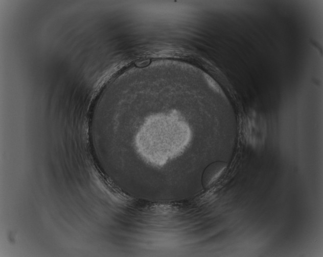 X0000103220298200809251142