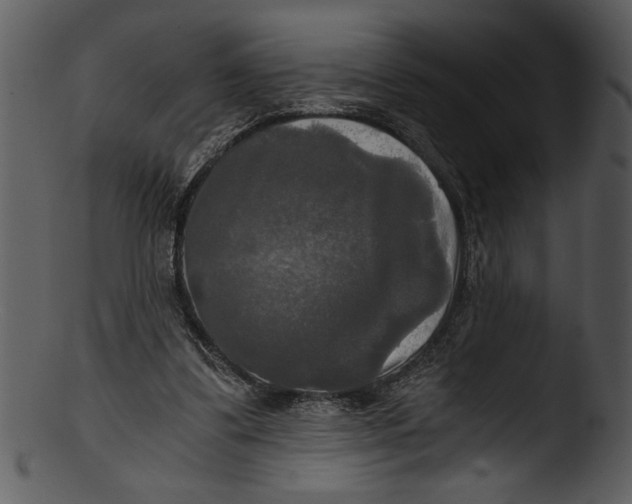 X0000103220299200809251142