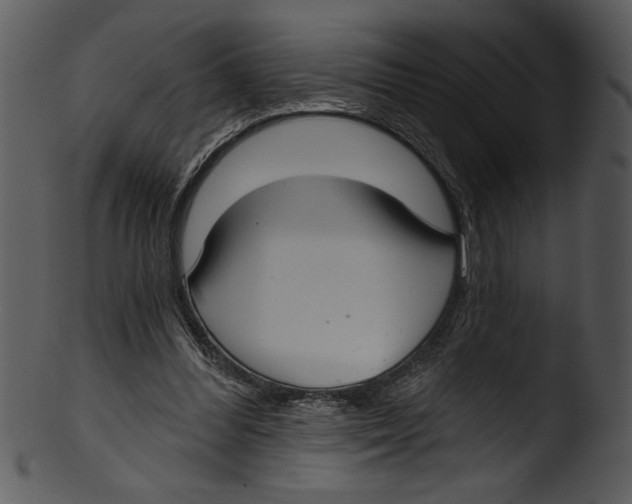 X0000103220300200809251142