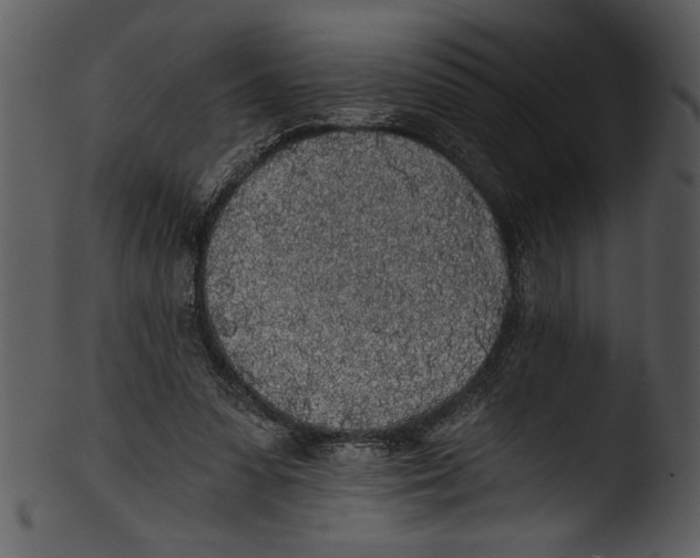 X0000103220303200809251142