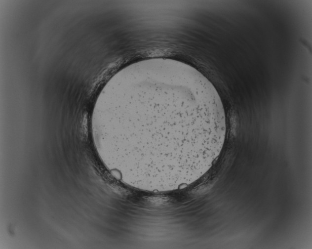 X0000103220308200809251142