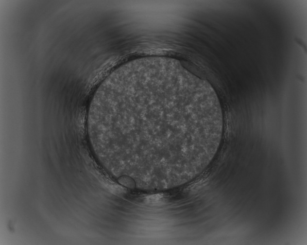 X0000103220309200809251142