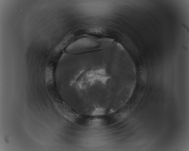 X0000103220312200809251142