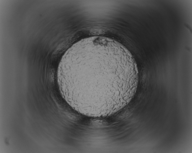 X0000103220315200809251142