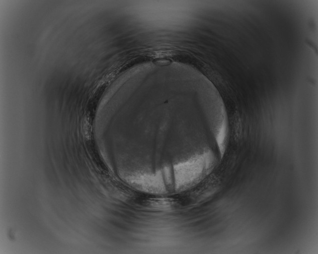 X0000103220316200809251142