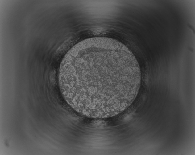 X0000103220319200809251142