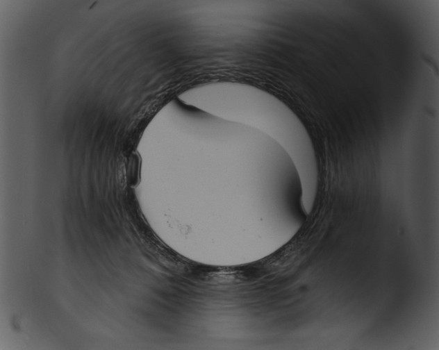 X0000103220320200809251142