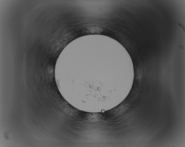 X0000103220321200809251142