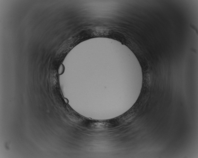 X0000103220323200809251142