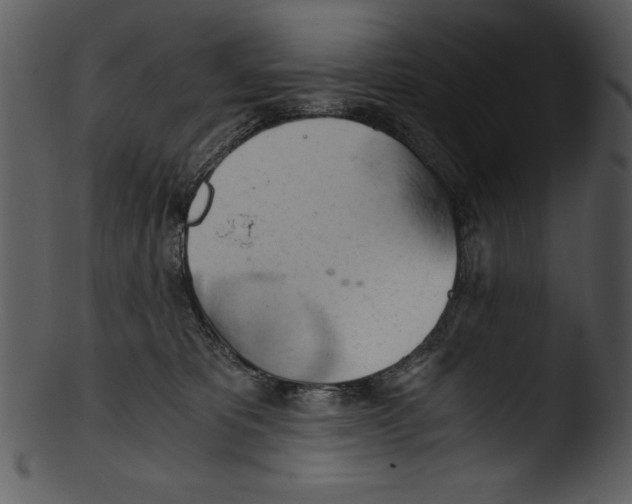 X0000103220325200809251142