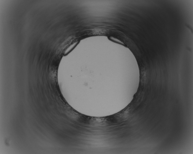 X0000103220329200809251142