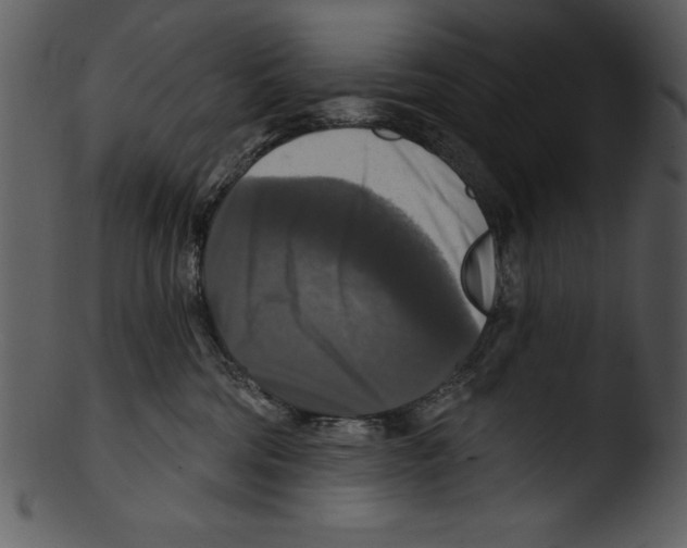 X0000103220330200809251142