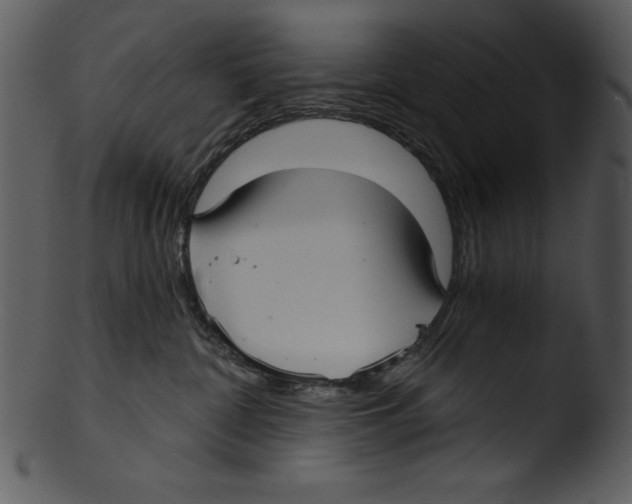 X0000103220332200809251141